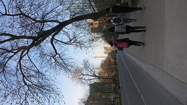 IMG 5250