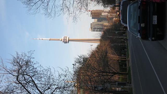 IMG 5251