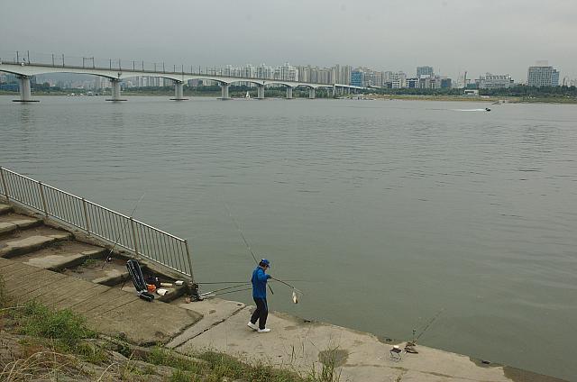 DSC 3038