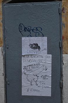IMG 3669