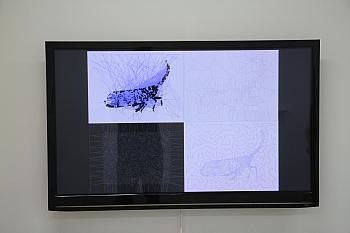 IMG 1148