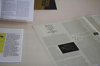 IMG 1164
