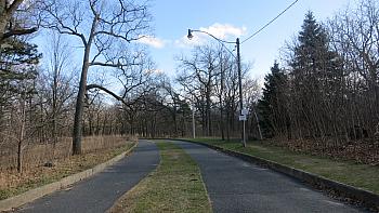 IMG 5163