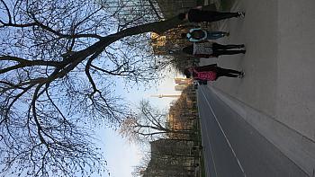 IMG 5250