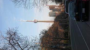 IMG 5251