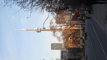 IMG 5252