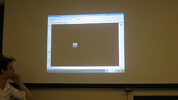 IMG 5292