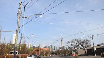 IMG 5312
