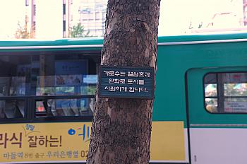 DSCF0695