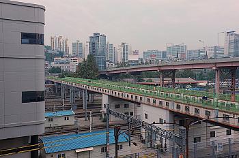 DSCF0726