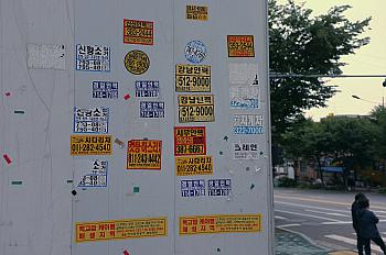DSCF0784