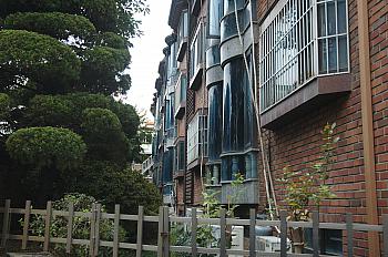 DSC 3051