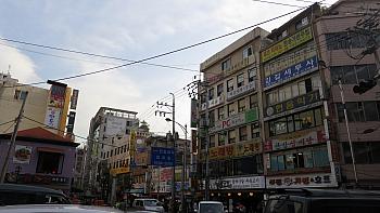 IMG 1131